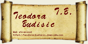 Teodora Budišić vizit kartica